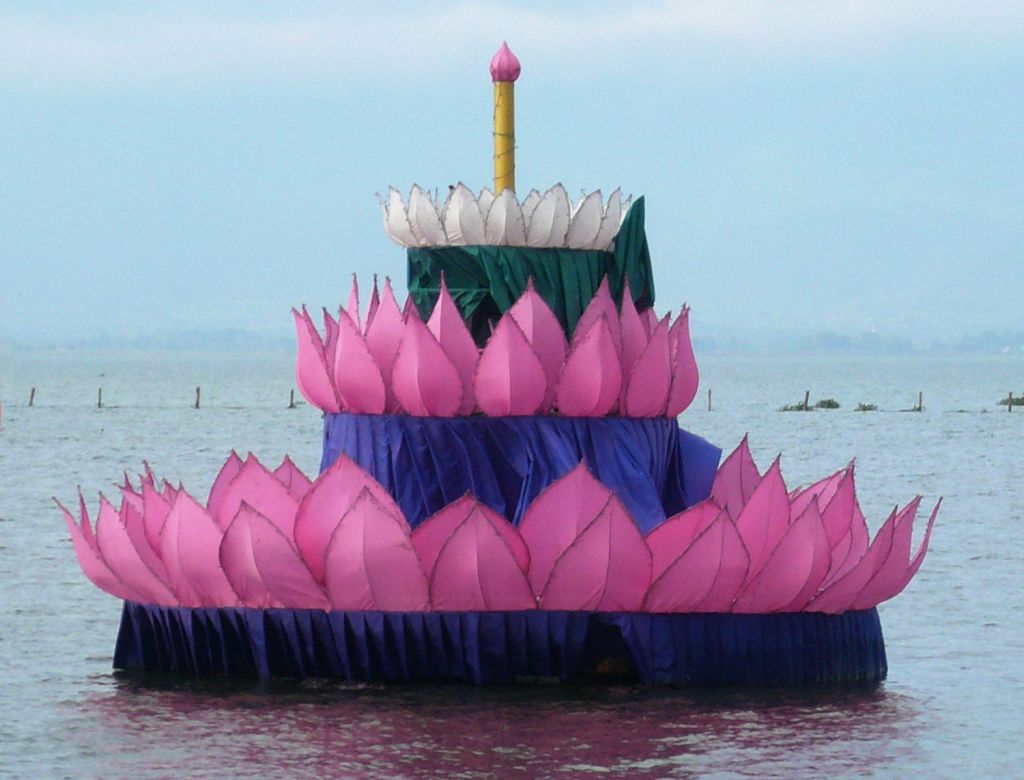 Lotus